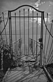 Lines to Patterns: Gray, Sepia, Gray & Living Color | ©Tom Palladio Images