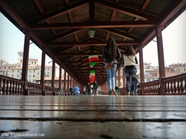 Framing Palladio: Ponte degli Alpini | ©thepalladiantraveler.com