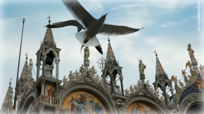 Wings over St. Mark's Square, Venice